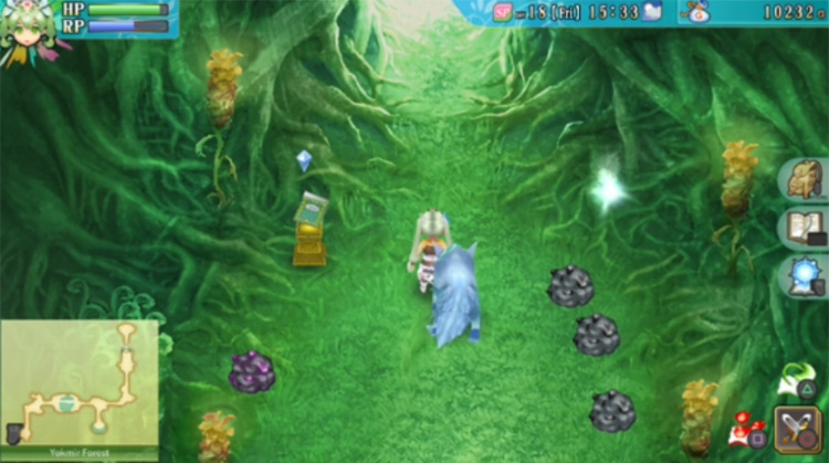 Yokmir Forest area leading to the boss / Rune Factory 4