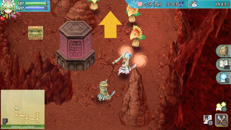 An area with a pink pillar blocking the path to a treasure chest / Rune Factory 4