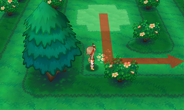 Mirage Forest landing spot / Pokémon Omega Ruby and Alpha Sapphire