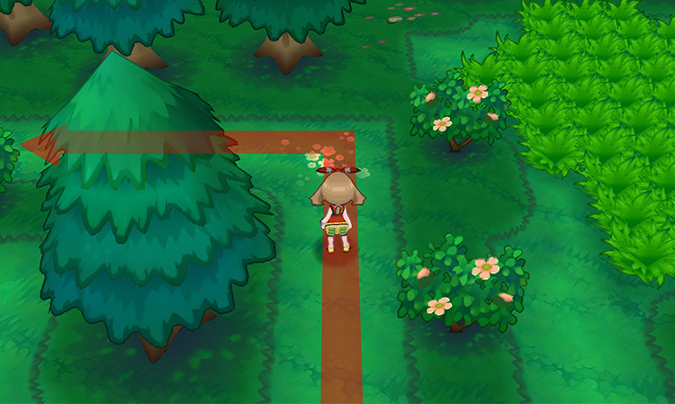 Turn to take inside the maze / Pokémon Omega Ruby and Alpha Sapphire