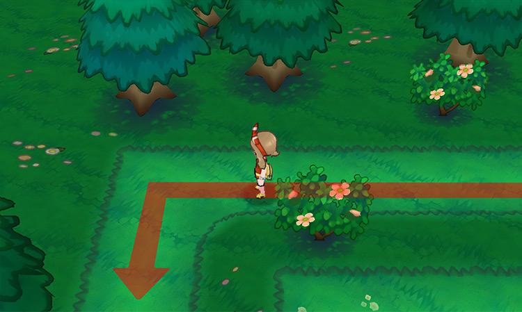 Northwest corner of the maze / Pokémon Omega Ruby and Alpha Sapphire