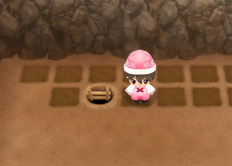 Standing beside a ladder in the Spring Mine. / Story of Seasons: Friends of Mineral Town