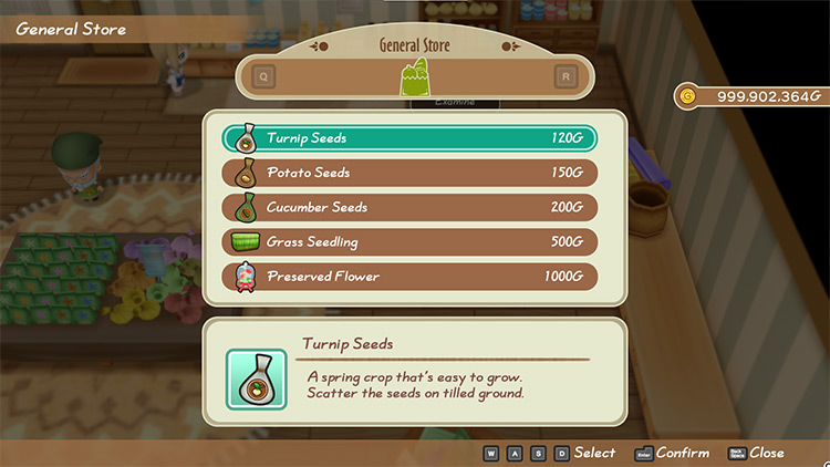 Interface of the General Store’s shop menu / SoS: FoMT
