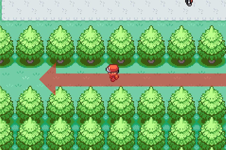 Head west on the path between the trees. / Pokémon FireRed and LeafGreen