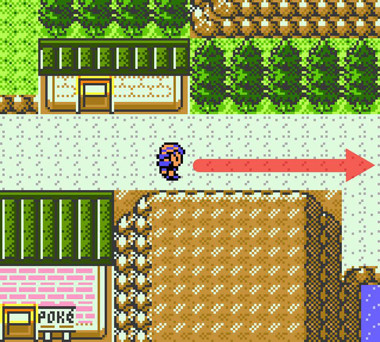 Exiting Mahogany Town toward Route 44. / Pokémon Crystal