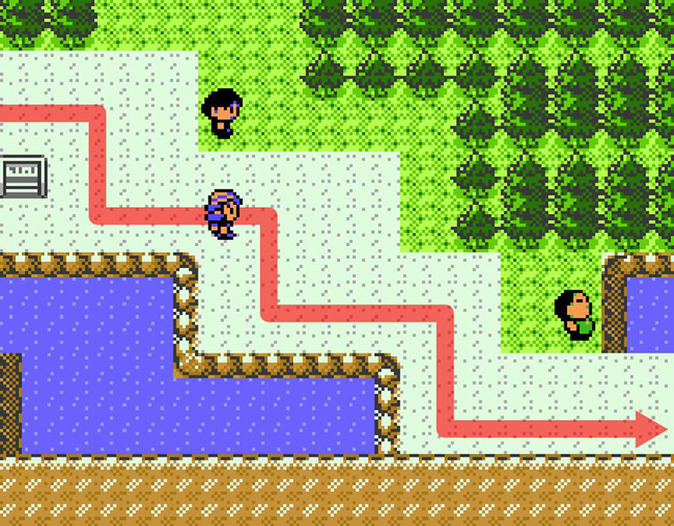 The western section of Route 44. / Pokémon Crystal