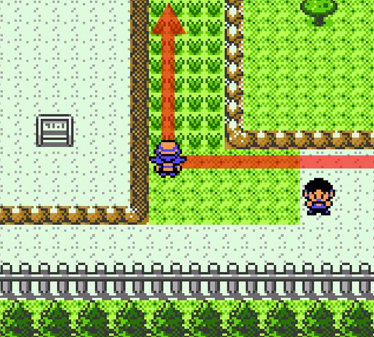 Entering the tall grass on Route 38 / Pokémon Crystal