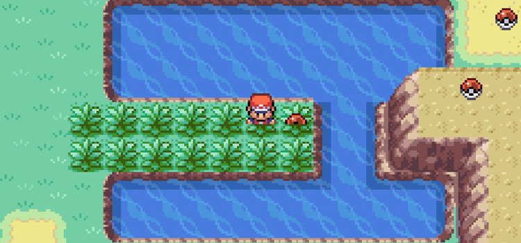 Finding the Sunny Day TM in Safari Zone Area 2 (Pokémon FireRed)