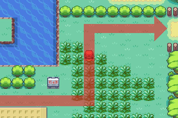 Head towards this dirt path to reach the next area / Pokémon FireRed & LeafGreen