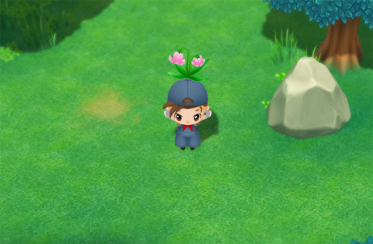 The farmer picks up a Pink Cat Flower in the Secret Forest / SoS: FoMT