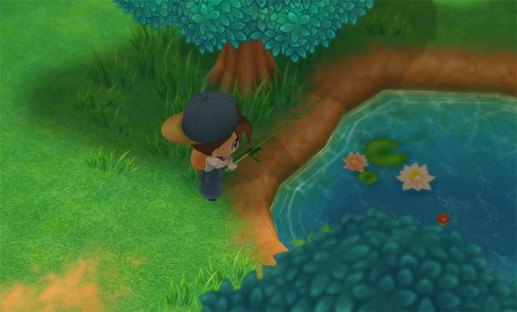 The farmer fishes in the Secret Forest pond / SoS: FoMT