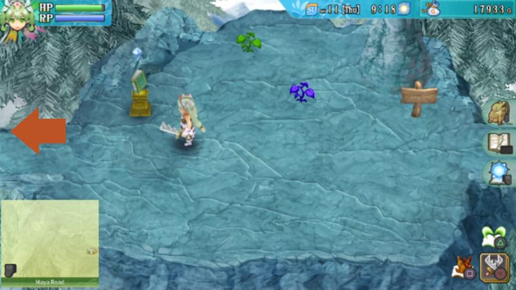 The first area of Maya Road / Rune Factory 4