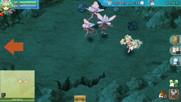 An inaccessible chest behind a crack in the ground in a cave under Maya Road / Rune Factory 4