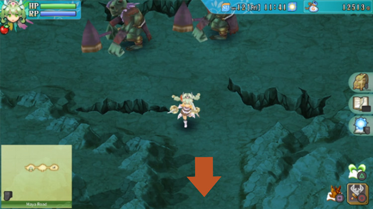 An area of the cave underneath Maya Road / Rune Factory 4