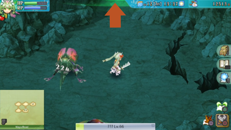 A barrier blocking the path heading north in the cave found underneath Maya Road / Rune Factory 4