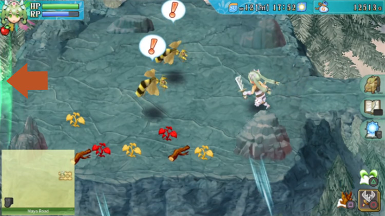 An area of Maya Road with a barrier blocking the path heading west / Rune Factory 4