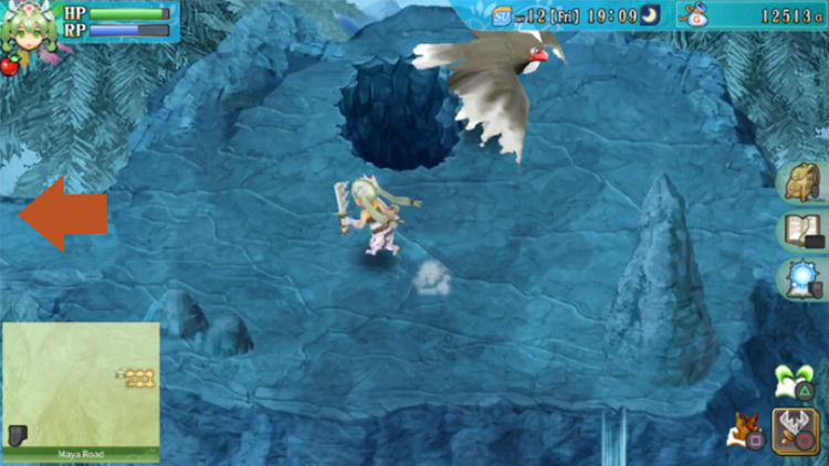 A huge hole that leads to a cave in an area along Maya Road / Rune Factory 4