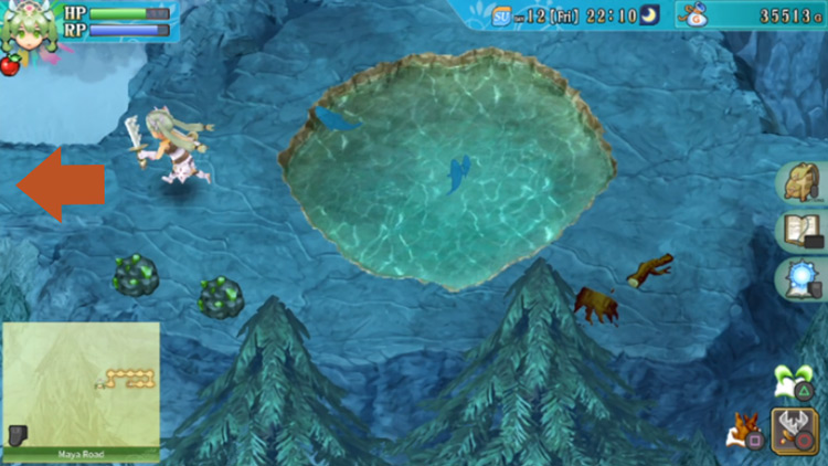 An area of Maya Road with a giant pond in the center / Rune Factory 4