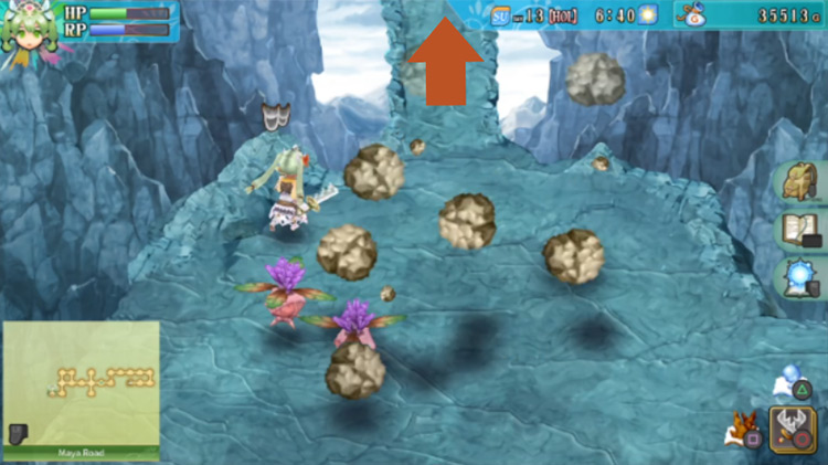 An area of Maya Road where rocks are continuously falling from above / Rune Factory 4