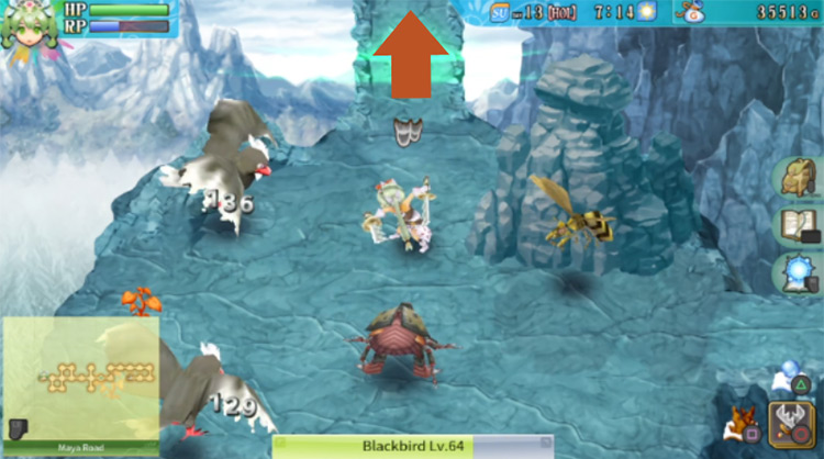 A barrier blocking the path in the north along Maya Road / Rune Factory 4