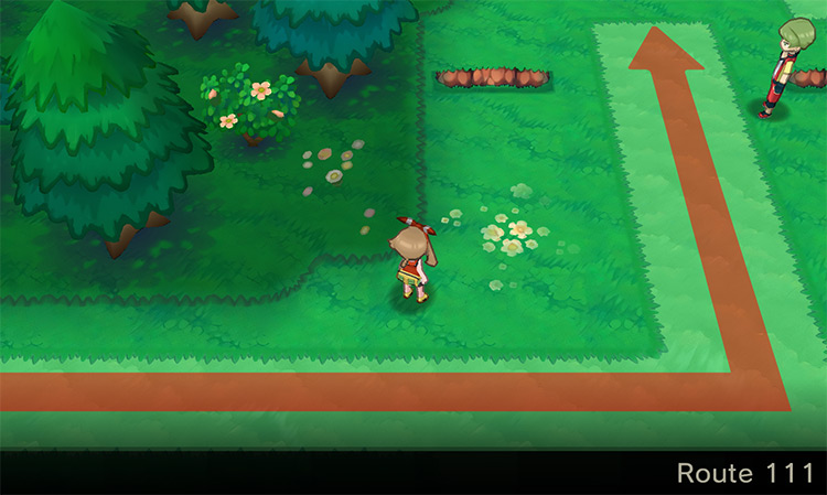 Route 111’s northern section / Pokémon Omega Ruby and Alpha Sapphire