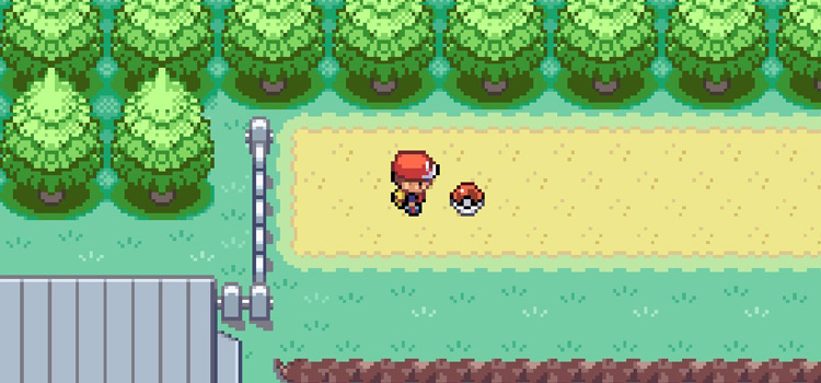 The Rain Dance TM on Route 15 in Pokémon FireRed