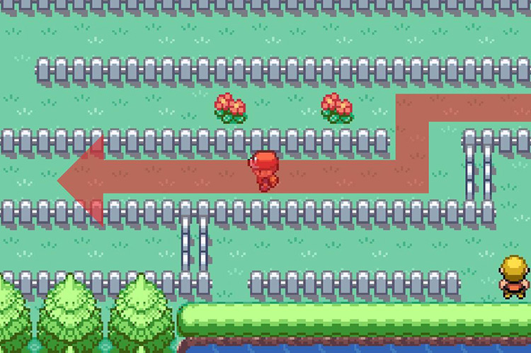 Keep west through the maze towards the western end / Pokémon FRLG