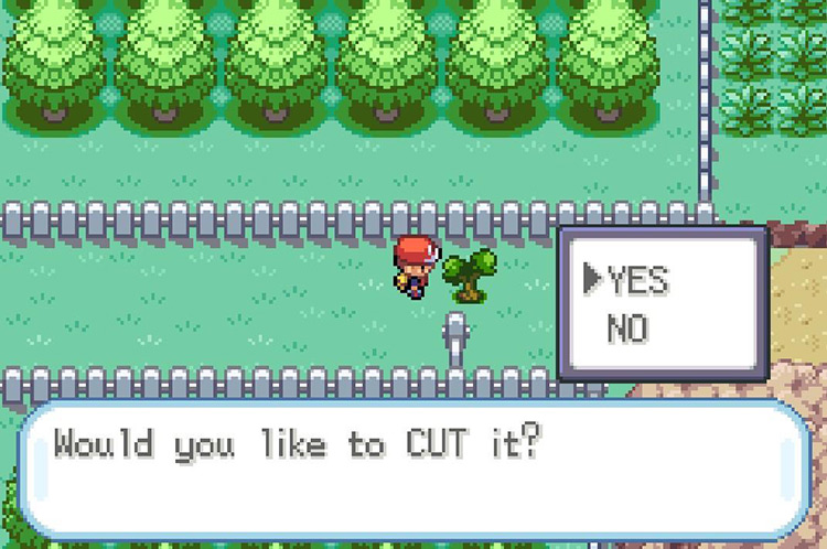 Use HM01 Cut on the tree blocking the path / Pokémon FRLG