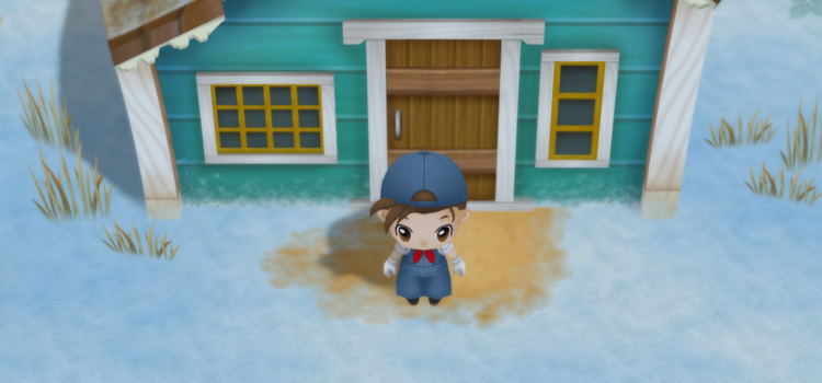 Standing outside the Mountain Villa in Story of Seasons: FoMT