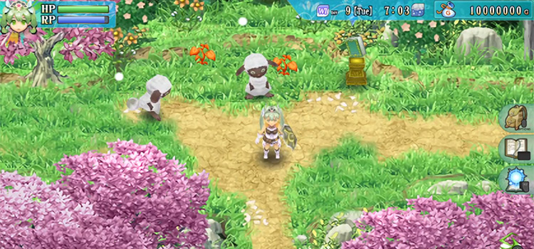 Standing at Sercerezo Hill in Rune Factory 4 Special