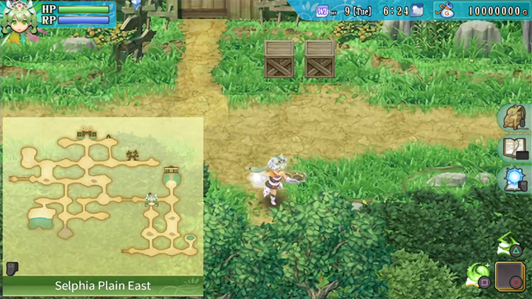 A path behind the trees in Selphia Plain East / Rune Factory 4