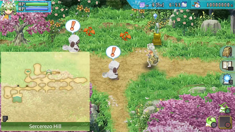 The first area of Sercerezo Hill / Rune Factory 4