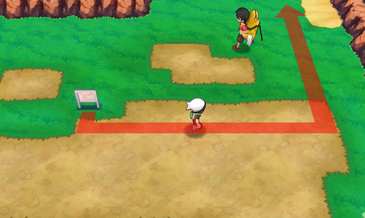 The Route 111 signpost. / Pokémon Omega Ruby and Alpha Sapphire