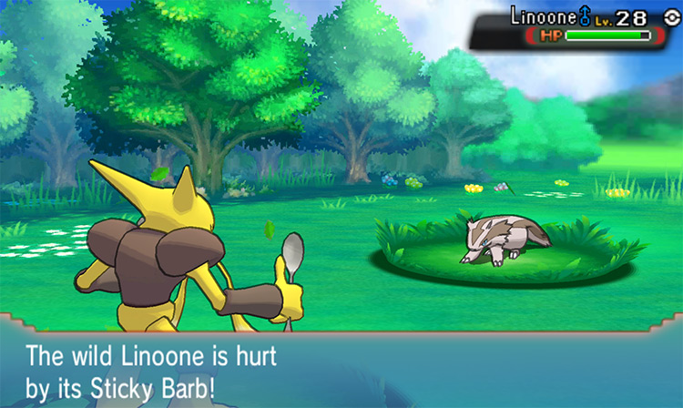 A Linoone gets damaged by its Sticky Barb. / Pokémon Omega Ruby and Alpha Sapphire