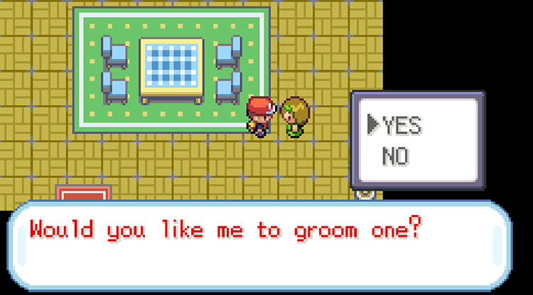 Daisy asking to groom a Pokémon once the Elite Four has been defeated / Pokémon FRLG