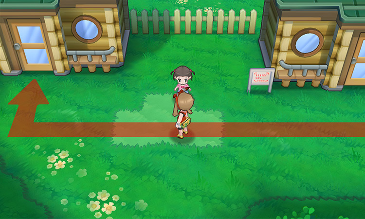 Outside the Happiness Checker’s House / Pokémon Omega Ruby and Alpha Sapphire