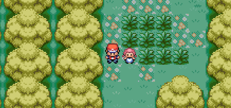 Standing with Lostelle in Berry Forest (Pokémon FireRed)