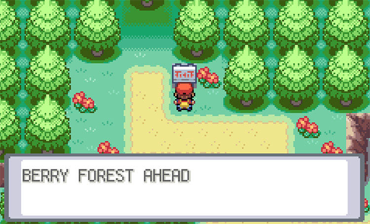 Outside of the Berry Forest on Three Island / Pokémon FRLG
