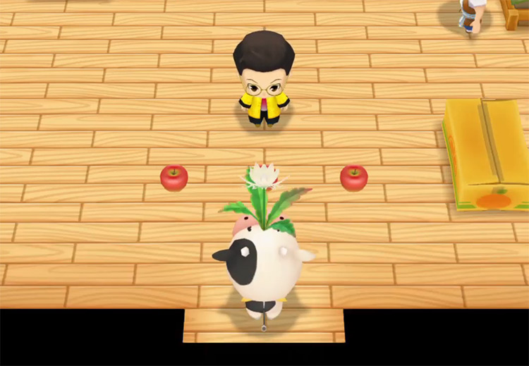 Huang gives the farmer a Mystery Flower / SoS: FoMT