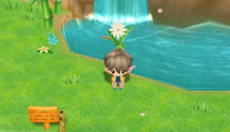 The farmer holds a Mystery Flower in front of the Harvest Goddess’ waterfall / SoS: FoMT