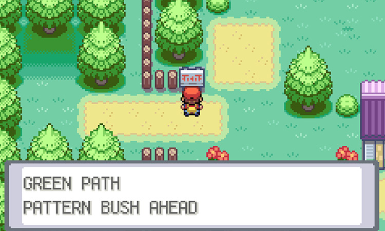 The Pattern Bush path sign / Pokémon FRLG