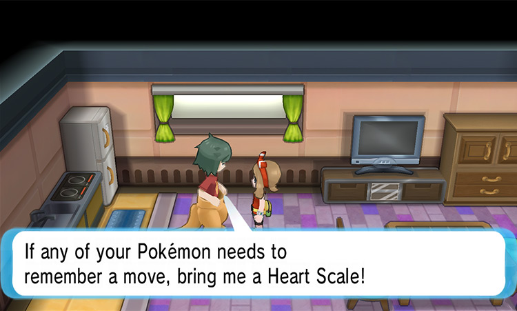 Talking to the Move Reminder / Pokémon Omega Ruby and Alpha Sapphire