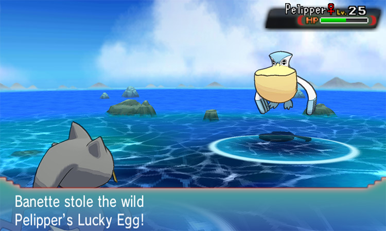 Obtaining the Lucky Egg from a Pelipper. / Pokémon Omega Ruby and Alpha Sapphire