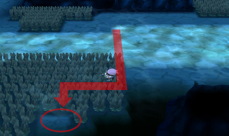 The Icicle Plate’s precise location. / Pokémon Omega Ruby and Alpha Sapphire