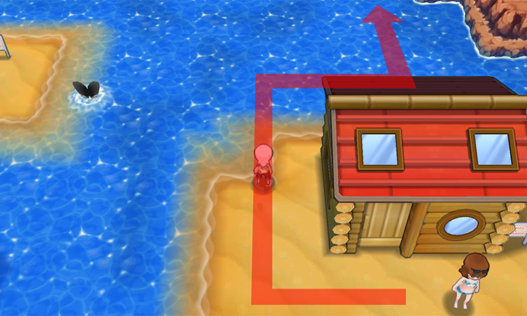 A cottage on Route 124. / Pokémon Omega Ruby and Alpha Sapphire