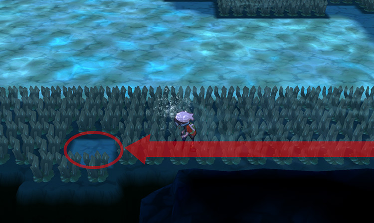 The hidden Toxic Plate’s precise location. / Pokémon Omega Ruby and Alpha Sapphire