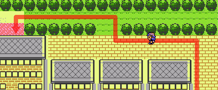 Entering the treeline behind Celadon City’s mansion to find the back entrance / Pokémon Crystal