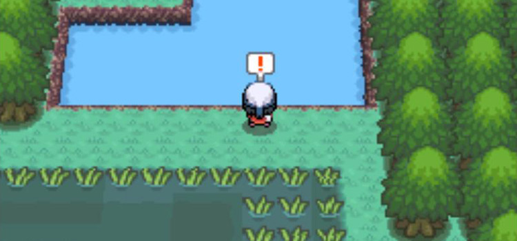 Fishing in the Great Marsh in Pokémon Platinum