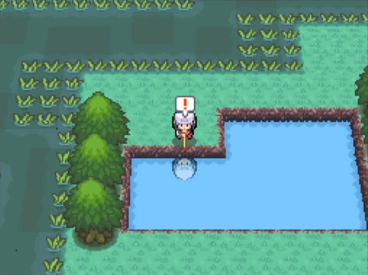 Fishing with the Super Rod in the Great Marsh / Pokémon Platinum