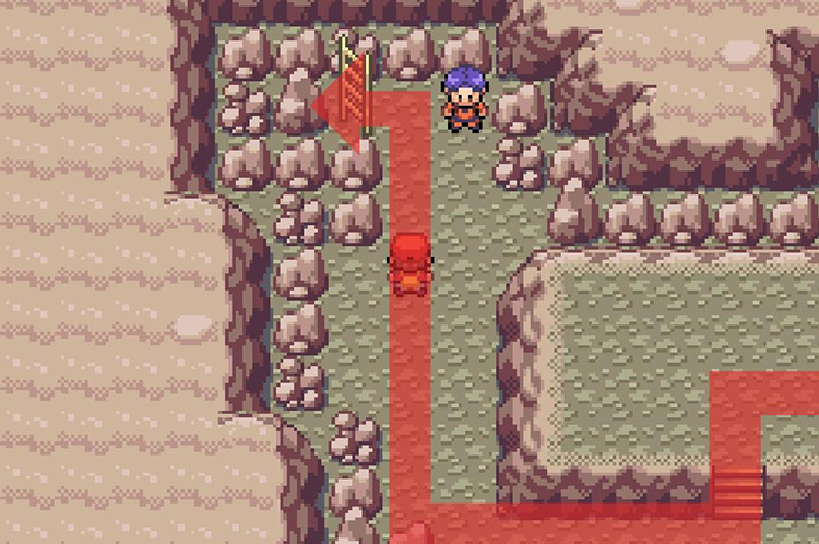 Take the ladder to the 2nd floor / Pokémon FireRed & LeafGreen
